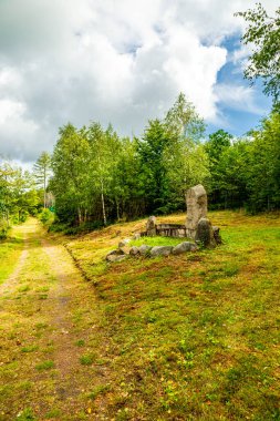 Ruhla - Thüringen - Almanya yakınlarındaki Thuringian Ormanı 'nda yaz yürüyüşü