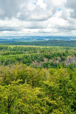 Ruhla - Thüringen - Almanya yakınlarındaki Thuringian Ormanı 'nda yaz yürüyüşü