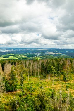 Ruhla - Thüringen - Almanya yakınlarındaki Thuringian Ormanı 'nda yaz yürüyüşü