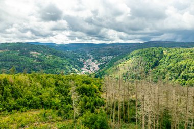 Ruhla - Thüringen - Almanya yakınlarındaki Thuringian Ormanı 'nda yaz yürüyüşü