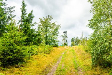 Ruhla - Thüringen - Almanya yakınlarındaki Thuringian Ormanı 'nda yaz yürüyüşü