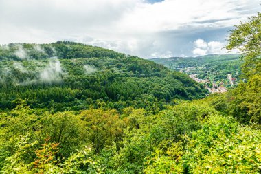 Ruhla - Thüringen - Almanya yakınlarındaki Thuringian Ormanı 'nda yaz yürüyüşü