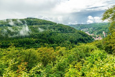 Ruhla - Thüringen - Almanya yakınlarındaki Thuringian Ormanı 'nda yaz yürüyüşü