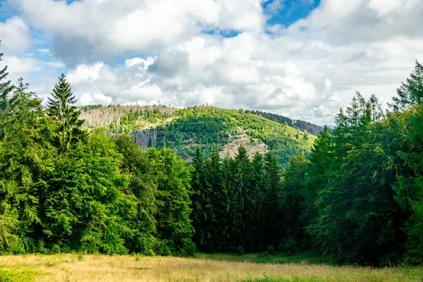 Sommerwanderung Auf Dem Höhenweg Des Thüringer Waldes Bei Ruhla Thüringen — Stockfoto