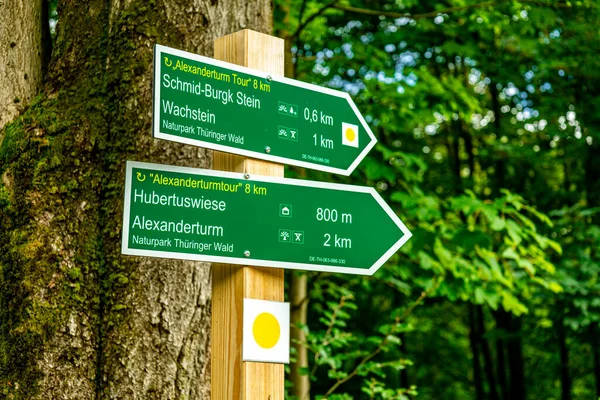 Ruhla - Thüringen - Almanya yakınlarındaki Thuringian Ormanı 'nda yaz yürüyüşü