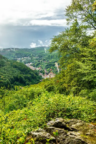 Stock image Summer walk on the high trail of the Thuringian Forest near Ruhla  - Thuringia - Germany