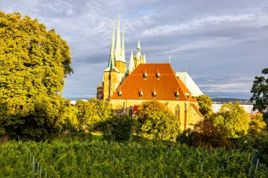 Thüringen 'in başkentinde yaz sonu yürüyüşü - Erfurt - Almanya