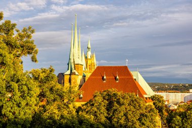 Thüringen 'in başkentinde yaz sonu yürüyüşü - Erfurt - Almanya