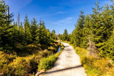 Torfhaus yakınlarındaki Oderteich göleti yakınlarındaki Harz Milli Parkı 'nda yaz sonu yürüyüşü - Almanya