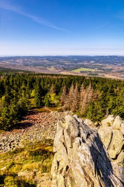 Torfhaus yakınlarındaki Oderteich göleti yakınlarındaki Harz Milli Parkı 'nda yaz sonu yürüyüşü - Almanya