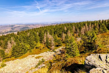 Torfhaus yakınlarındaki Oderteich göleti yakınlarındaki Harz Milli Parkı 'nda yaz sonu yürüyüşü - Almanya