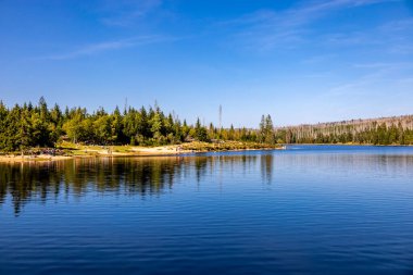 Torfhaus yakınlarındaki Oderteich göleti yakınlarındaki Harz Milli Parkı 'nda yaz sonu yürüyüşü - Almanya