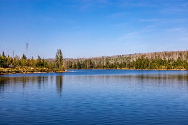Torfhaus yakınlarındaki Oderteich göleti yakınlarındaki Harz Milli Parkı 'nda yaz sonu yürüyüşü - Almanya