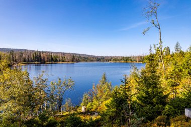 Torfhaus yakınlarındaki Oderteich göleti yakınlarındaki Harz Milli Parkı 'nda yaz sonu yürüyüşü - Almanya