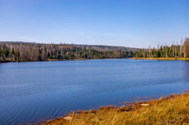 Torfhaus yakınlarındaki Oderteich göleti yakınlarındaki Harz Milli Parkı 'nda yaz sonu yürüyüşü - Almanya