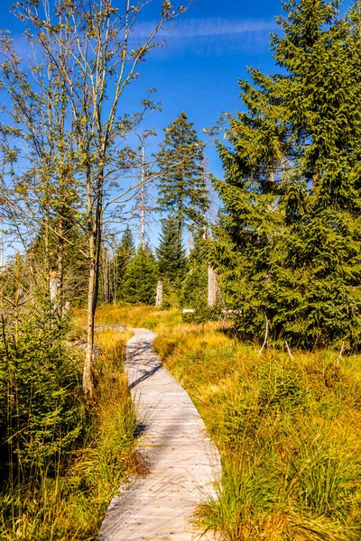 Αργά Καλοκαίρι Πεζοπορία Μέσα Από Εθνικό Πάρκο Harz Γύρω Από — Φωτογραφία Αρχείου