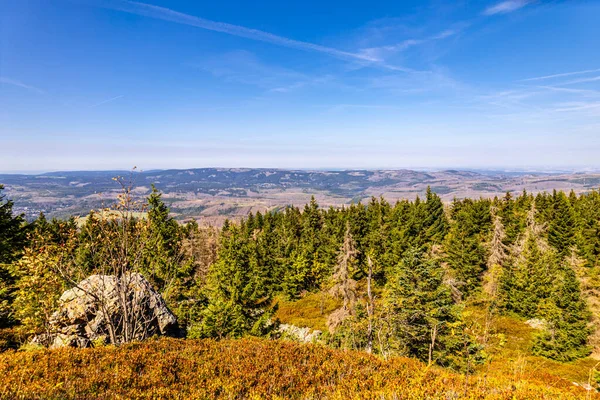 Torfhaus yakınlarındaki Oderteich göleti yakınlarındaki Harz Milli Parkı 'nda yaz sonu yürüyüşü - Almanya