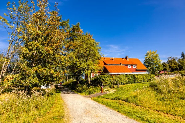 Late Summer Hike Harz National Park Oderteich Pond Torfhaus Lower — Stock Photo, Image