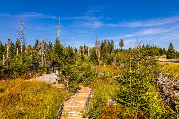 Spätsommerwanderung Durch Den Nationalpark Harz Rund Den Oderteich Bei Torfhaus — Stockfoto