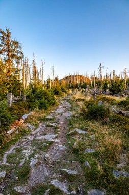 Günbatımı turu Harz Ulusal Parkı 'ndan Torfhaus yakınlarındaki Achtermannshhe' ye - Aşağı Saksonya - Almanya