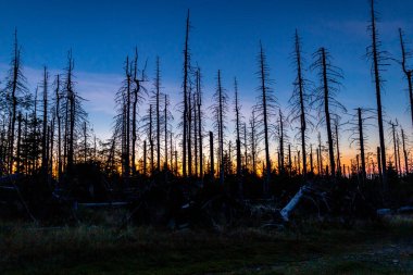 Günbatımı turu Harz Ulusal Parkı 'ndan Torfhaus yakınlarındaki Achtermannshhe' ye - Aşağı Saksonya - Almanya