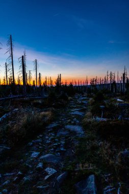 Günbatımı turu Harz Ulusal Parkı 'ndan Torfhaus yakınlarındaki Achtermannshhe' ye - Aşağı Saksonya - Almanya