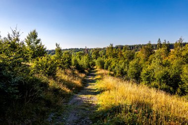 Schierke - Saksonya-Anhalt - Almanya çevresindeki Harz Milli Parkı 'nda yaz sonu yürüyüşü