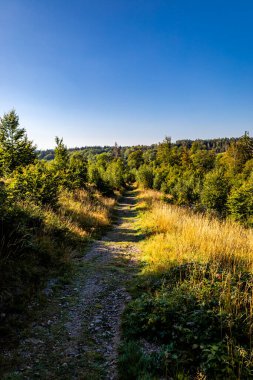 Schierke - Saksonya-Anhalt - Almanya çevresindeki Harz Milli Parkı 'nda yaz sonu yürüyüşü