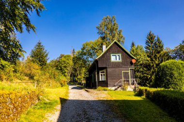 Schierke - Saksonya-Anhalt - Almanya çevresindeki Harz Milli Parkı 'nda yaz sonu yürüyüşü