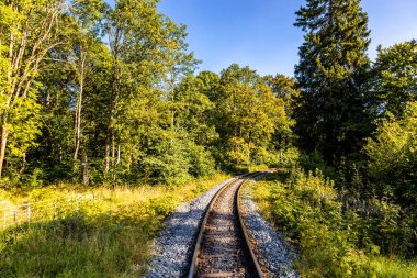 Schierke - Saksonya-Anhalt - Almanya çevresindeki Harz Milli Parkı 'nda yaz sonu yürüyüşü