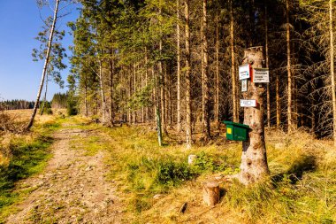 Schierke - Saksonya-Anhalt - Almanya çevresindeki Harz Milli Parkı 'nda yaz sonu yürüyüşü