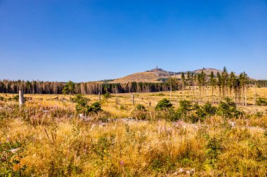 Schierke - Saksonya-Anhalt - Almanya çevresindeki Harz Milli Parkı 'nda yaz sonu yürüyüşü