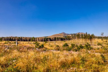 Schierke - Saksonya-Anhalt - Almanya çevresindeki Harz Milli Parkı 'nda yaz sonu yürüyüşü