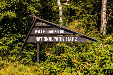Schierke - Saksonya-Anhalt - Almanya çevresindeki Harz Milli Parkı 'nda yaz sonu yürüyüşü