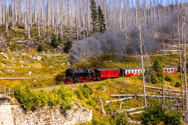 Schierke - Saksonya-Anhalt - Almanya çevresindeki Harz Milli Parkı 'nda yaz sonu yürüyüşü