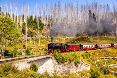 Schierke - Saksonya-Anhalt - Almanya çevresindeki Harz Milli Parkı 'nda yaz sonu yürüyüşü