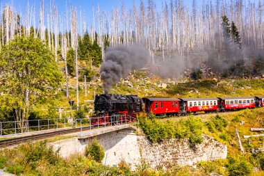 Schierke - Saksonya-Anhalt - Almanya çevresindeki Harz Milli Parkı 'nda yaz sonu yürüyüşü