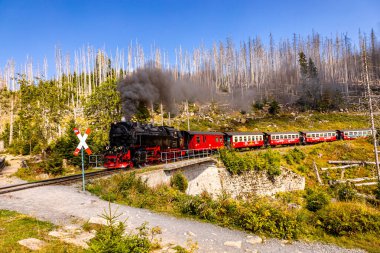 Schierke - Saksonya-Anhalt - Almanya çevresindeki Harz Milli Parkı 'nda yaz sonu yürüyüşü