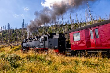 Schierke - Saksonya-Anhalt - Almanya çevresindeki Harz Milli Parkı 'nda yaz sonu yürüyüşü