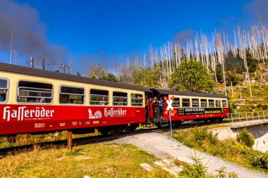 Schierke - Saksonya-Anhalt - Almanya çevresindeki Harz Milli Parkı 'nda yaz sonu yürüyüşü