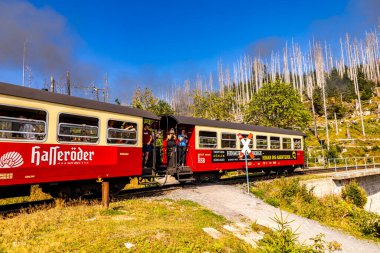 Schierke - Saksonya-Anhalt - Almanya çevresindeki Harz Milli Parkı 'nda yaz sonu yürüyüşü