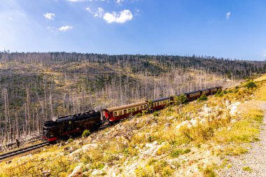 Schierke - Saksonya-Anhalt - Almanya çevresindeki Harz Milli Parkı 'nda yaz sonu yürüyüşü