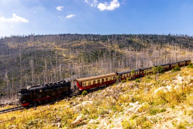 Schierke - Saksonya-Anhalt - Almanya çevresindeki Harz Milli Parkı 'nda yaz sonu yürüyüşü