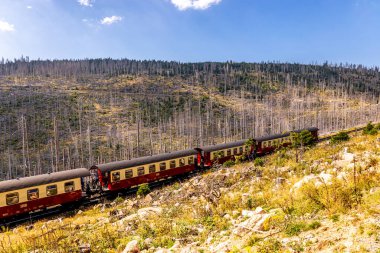 Schierke - Saksonya-Anhalt - Almanya çevresindeki Harz Milli Parkı 'nda yaz sonu yürüyüşü