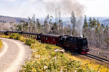 Schierke - Saksonya-Anhalt - Almanya çevresindeki Harz Milli Parkı 'nda yaz sonu yürüyüşü