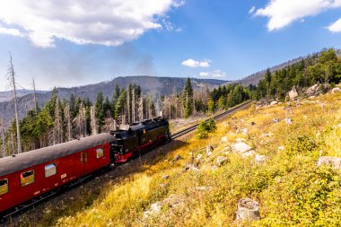 Schierke - Saksonya-Anhalt - Almanya çevresindeki Harz Milli Parkı 'nda yaz sonu yürüyüşü