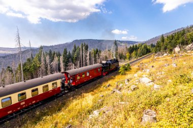 Schierke - Saksonya-Anhalt - Almanya çevresindeki Harz Milli Parkı 'nda yaz sonu yürüyüşü