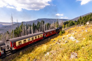 Schierke - Saksonya-Anhalt - Almanya çevresindeki Harz Milli Parkı 'nda yaz sonu yürüyüşü