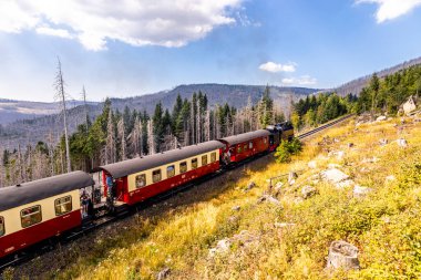 Schierke - Saksonya-Anhalt - Almanya çevresindeki Harz Milli Parkı 'nda yaz sonu yürüyüşü