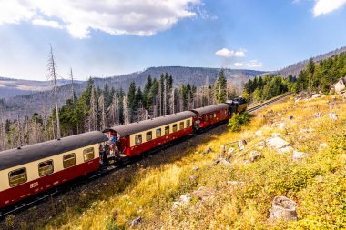 Schierke - Saksonya-Anhalt - Almanya çevresindeki Harz Milli Parkı 'nda yaz sonu yürüyüşü